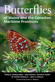 Book cover of Butterflies of Maine and the Canadian Maritime Provinces