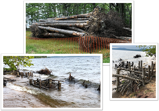 Photos of the Sebago Lake Shoreline Restoration project at Sebago Lake State Park.