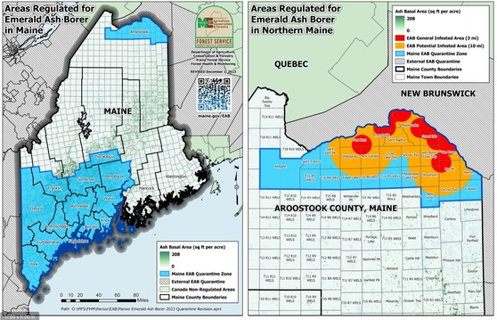 Two maps of Maine showing regulated areas for emerald ash borer