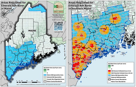 Two maps of Maine showing locations of emerald ash borer