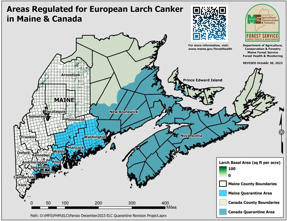 Map of Maine and Atlantic Canada showing areas regulated for european larch canker