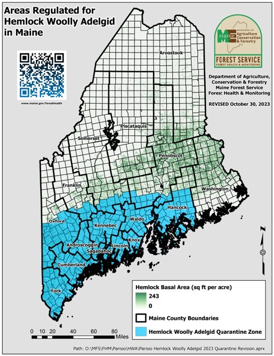Map of Maine showing hemlock woolly adelgid quarantine