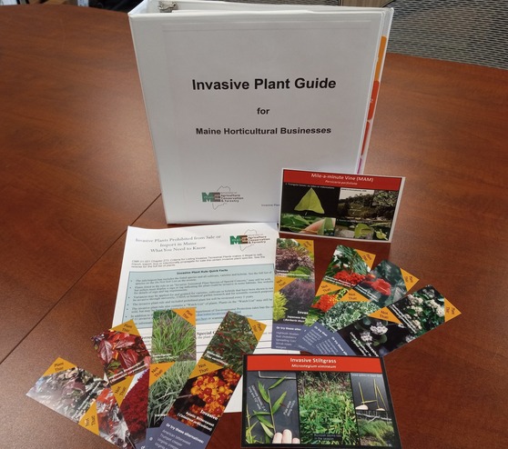 Invasive Plant Outreach Materials