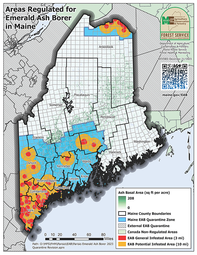 Emerald Ash Borer (EAB) Map for Maine. Last updated December 23, 2023 by the Maine Forest Service.