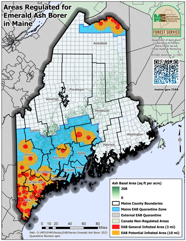 Map of Maine showing areas with known emerald ash borer populations