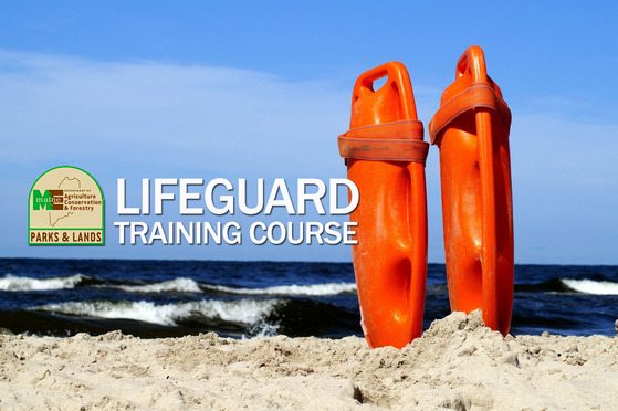 Lifeguard Training Course photo showing lifeguard rescue cans on a sand beach with ocean surf in the background.