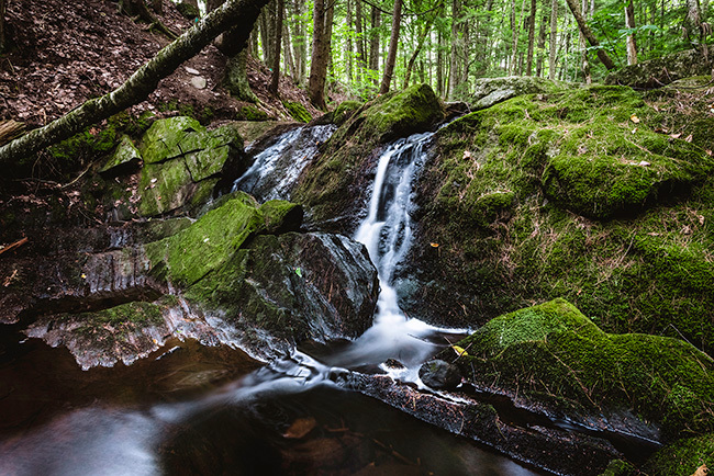 Talking Brook. Photo courtesy of the Trust for Public Land.