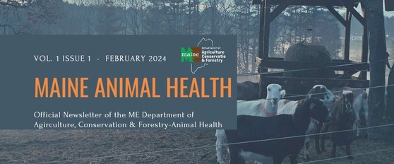 Animal Health Newsletter Header