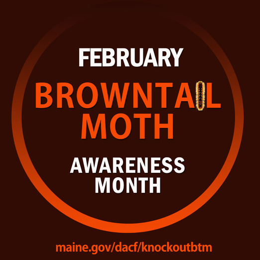 BTM Awareness Month