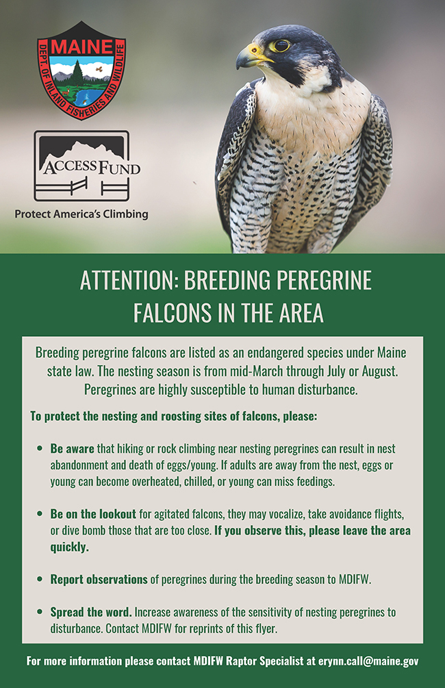 Peregrine Breeding Area poster with list of ways to help protect peregrines.