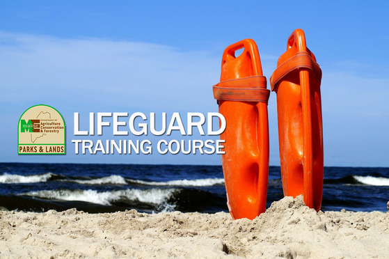 Lifeguard Training Course photo showing a sand beach and two lifeguard buoys with ocean waves in the background.