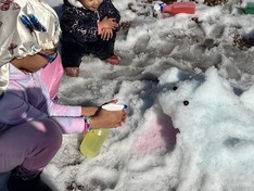 Snow Shark being made during a winter event at Bradbury Mt. State Park.