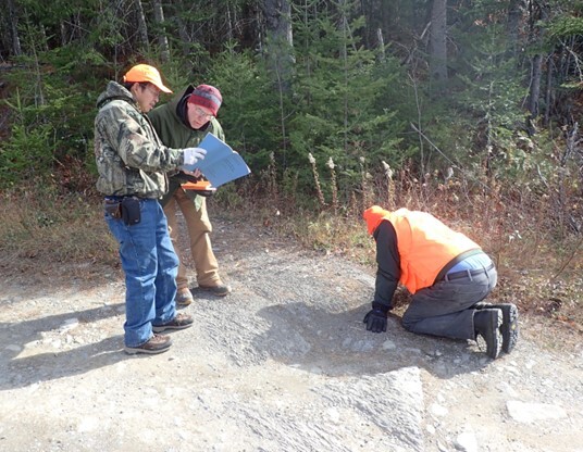 Seboomook Group fault slivers