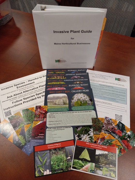 The variety of invasive plant outreach materials available.