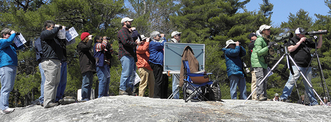 Hawk watchers at the top of Bradbury Mt.