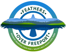 Feathers Over Freeport logo.