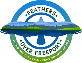 Feathers Over Freeport Logo