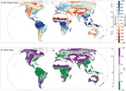 tree planting offset map