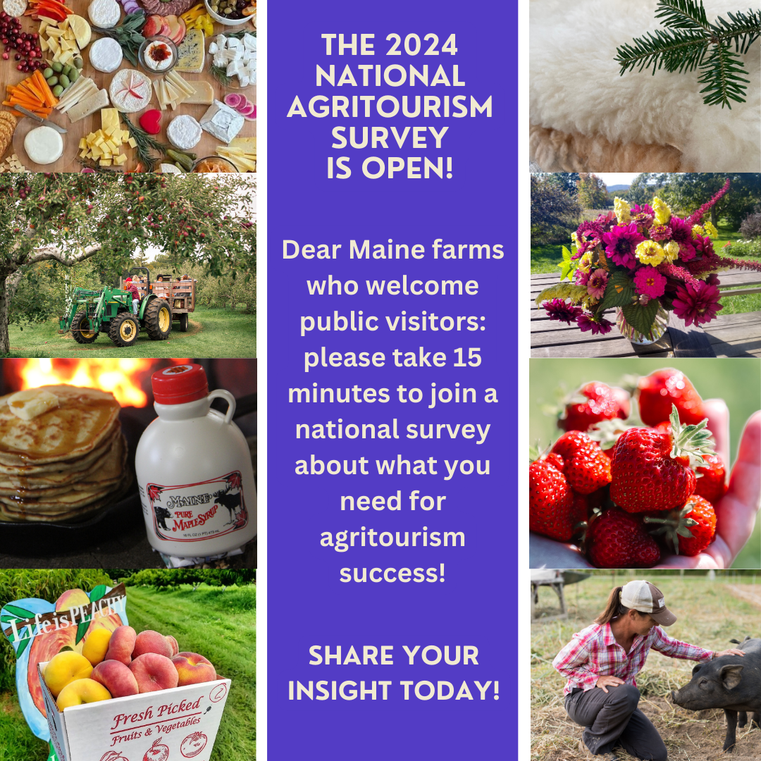 Decorative image of various Maine farm agritourism scenes to promote 2024 National Agritourism Survey