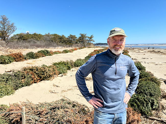 Dune restoration project at Popham Beach State Park.