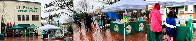 Photos of the Maine Bureau of Parks and Lands booth at the Green ME Up Festival.