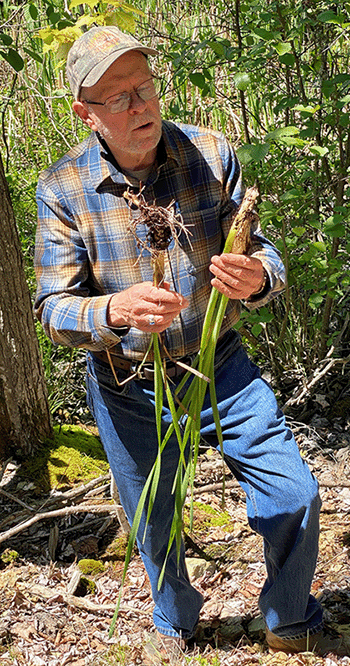 Tom Seymour, author and wild edibles expert, teaching a course at Holbrook Island Sanctuary State Park.