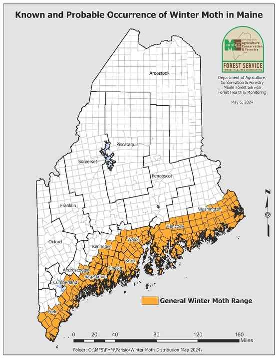 Map of Maine with coastal Maine marked as winter moth range.