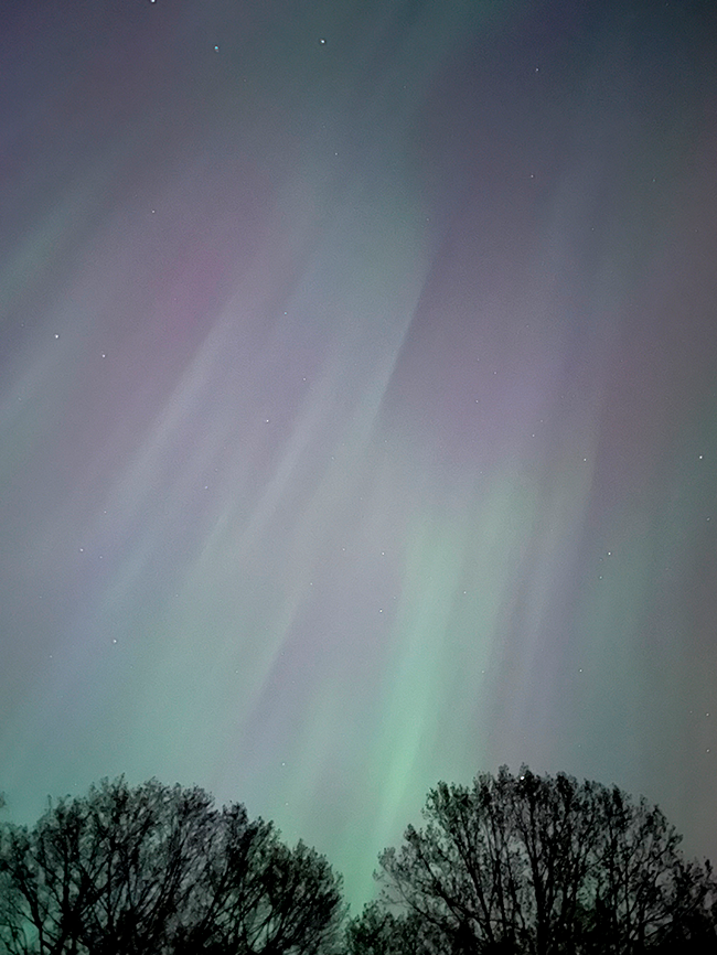 Aurora Borealis on May 10, 2024 in Maine. Glowing streaks of green, pink and purple. Photo by Jocelyn Hubbell.