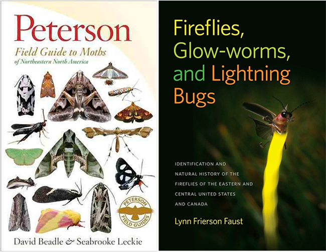 Peterson Guide to Moths and a Firefly Guide by Lynn Frierson Faust.