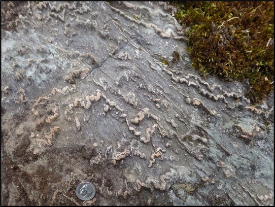 megunticook formation