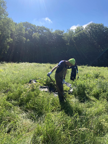 MCC Stewards pulling invasive species at Effie Berry Conservation Area.