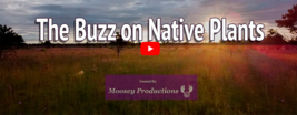 The Buzz on Native Plants film trailer title page. 