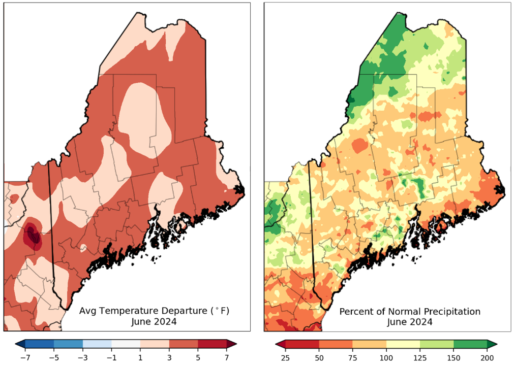 Two maps of Maine showing temperature and precipitation for June 2024.