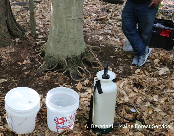 A person standing next to a tree and some buckets