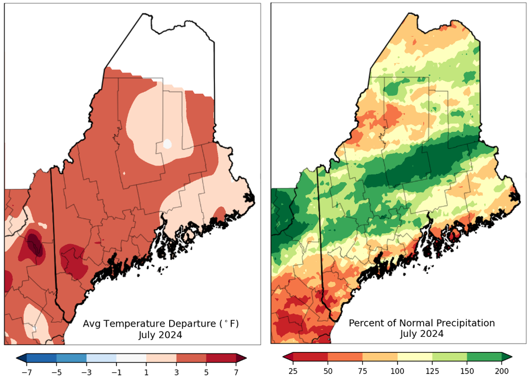 Two maps of Maine showing temperature and precipitation for July 2024