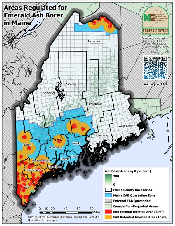 Map of Maine showing areas regulated for emerald ash borer