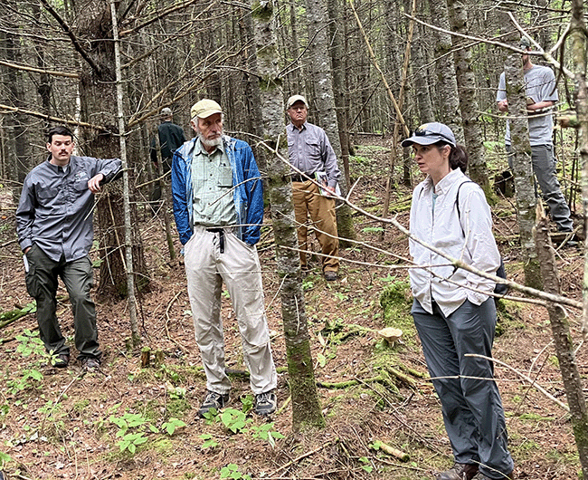 Dr. Mac Hunter and Dr. Laura Kenefic discussed softwood management at Eagle Lake Public Lands.   