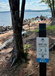 Chronolog picture post MSP-103 at Sebago Lake State Park.