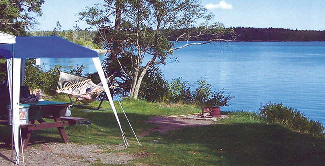 A water-side campsite at Cobscook Bay State Park.