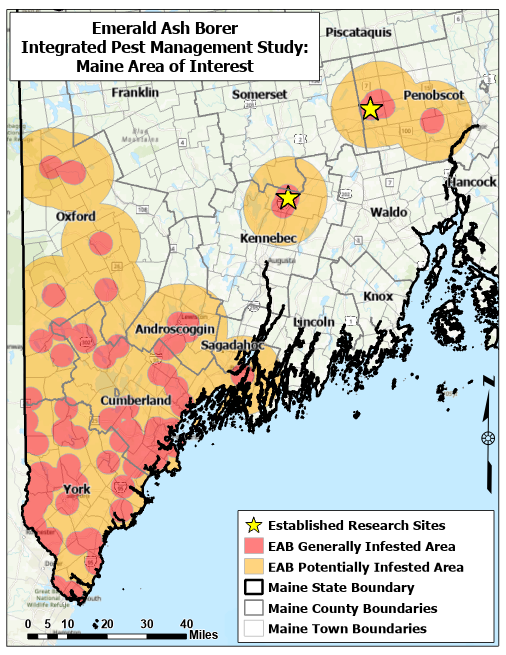 Map of maine showing areas with emerald ash borer