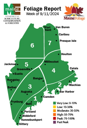 Week 1 of Maine Foliage Reporting for 2024 season. Very Low foliage across the state.