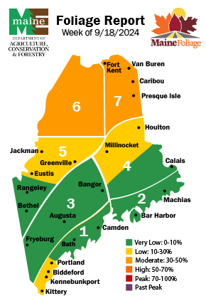 Northern Maine seeing moderate color changes in foliage. September 18, 2024