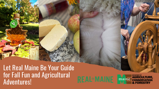 Decorative graphic of Maine agricultural products for autumn agritourism activities