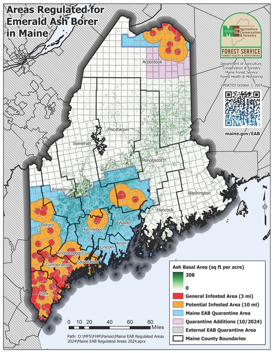 Map of Maine showing areas with emerald ash borer