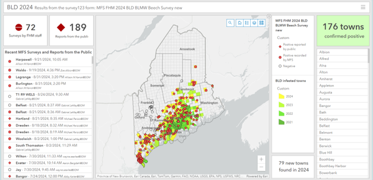 Screenshot of the beech leaf disease dashboard website