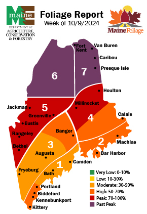 Foliage Report for October 9, 2024