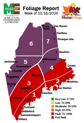 Maine's Coast is seeing peak conditions