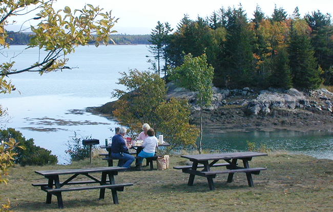 Autumn picnickers at Cobscook Bay State Park.