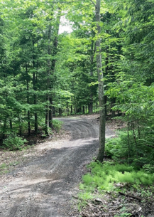 A smooth cascading woodland ATV trail.