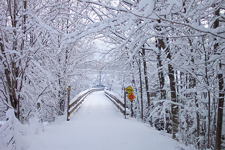 Wintertime on the Whistle Stop Rail Trail.